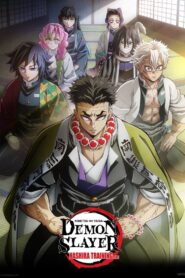 Demon Slayer: Kimetsu no Yaiba Hashira Training Arc